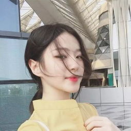 鲨鱼浪板冲冲冲