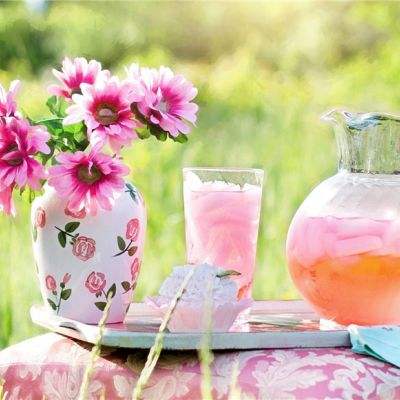 虫界战争2中文版